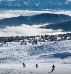 Vignette stations de sports d'hiver